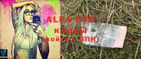 стафф Алексин