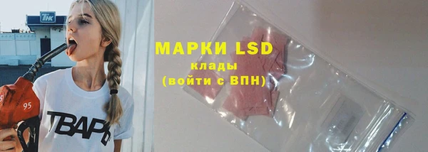 стафф Алексин