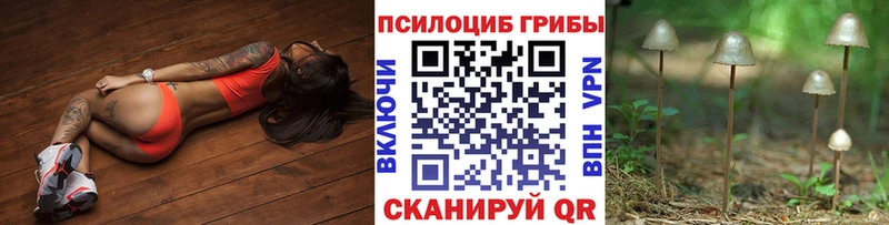 Псилоцибиновые грибы ЛСД  Калач-на-Дону 